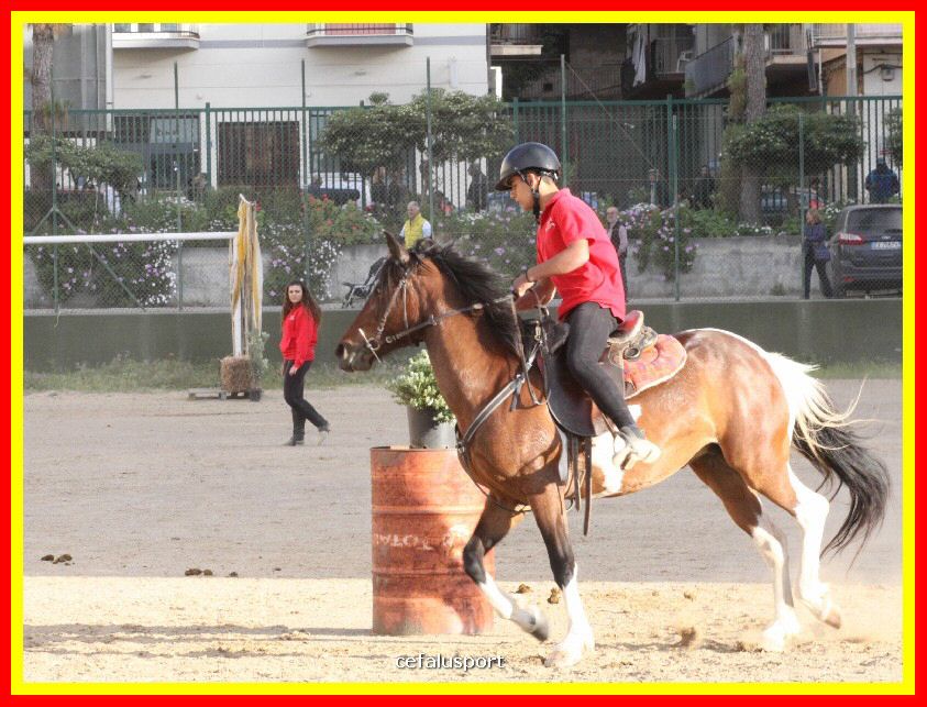 190427 sport 249_tn.jpg